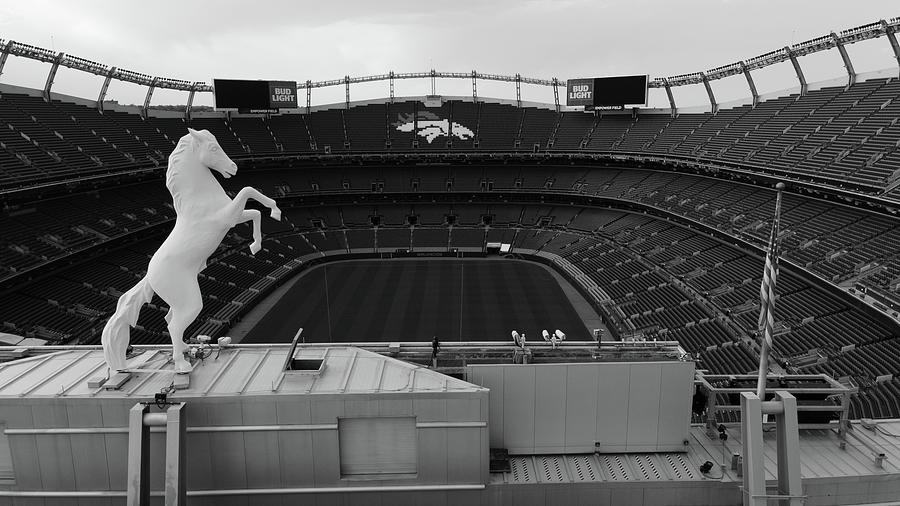 Denver Bronco overlooking Mile High Stadium in black and white #3 Photograph by Eldon McGraw
