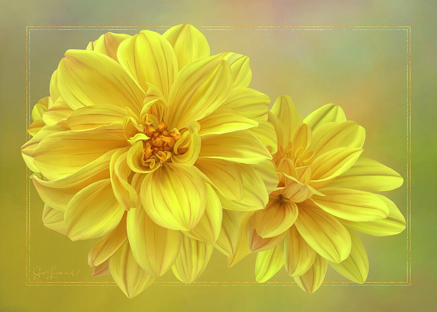 Digitally painted Dahlia #3 Photograph by Sue Leonard Digitally painted Dahlia #3 Photograph by Sue Leonard