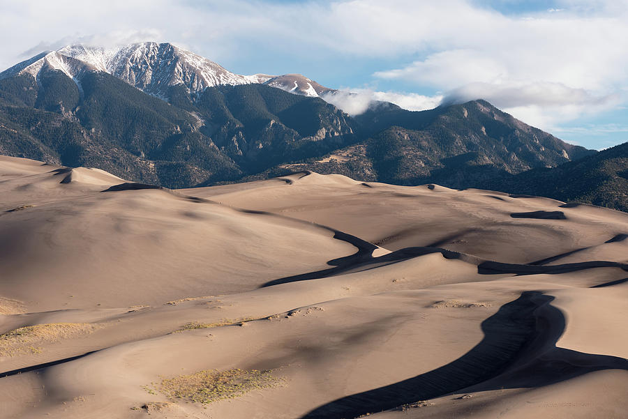 Dramatic Dune Field at Great Sand Dunes National Park, Colorado ...