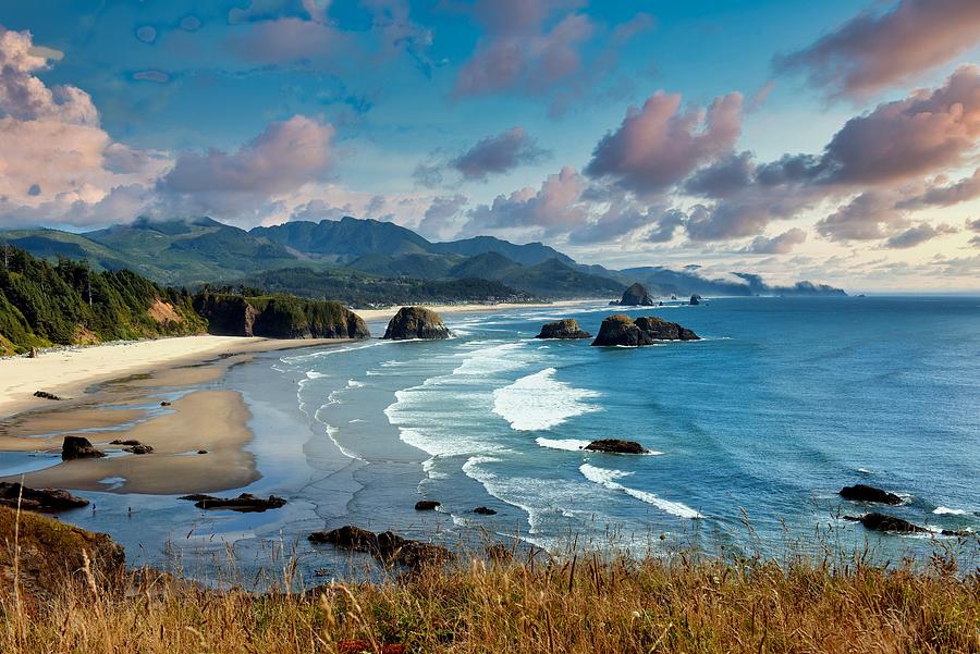 Ecola Park Photograph by Chuck Overton - Fine Art America