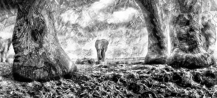  Elephant _4 #3 Photograph by Jean Francois Gil