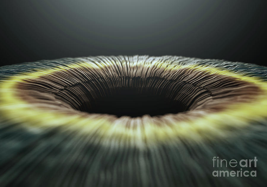 Iris Digital Art - Eye Iris Microscopic #3 by Allan Swart