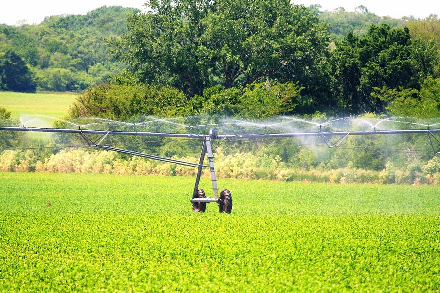 Field Sprinkler Photograph by Roger Look - Fine Art America