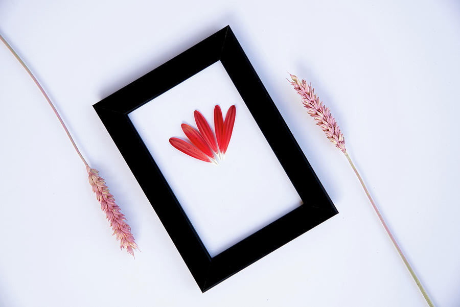 Flower Composition With Black Photo Frame On A White Background. Photograph