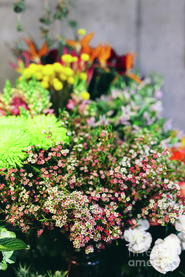 Flowers And Plants In Florist Shop Photograph