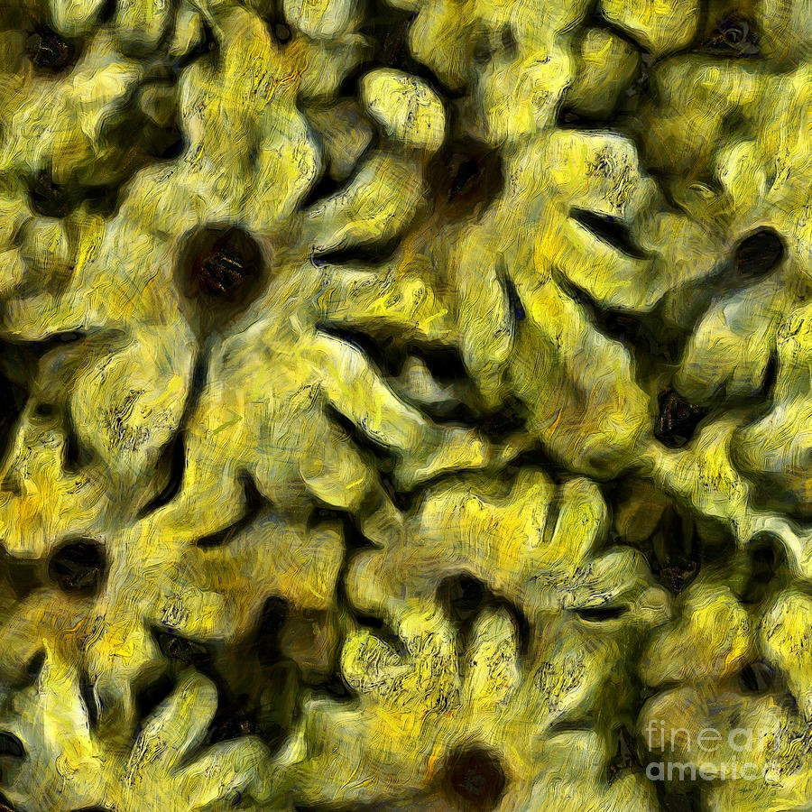 Flowers #3 Digital Art by Bruce Rolff