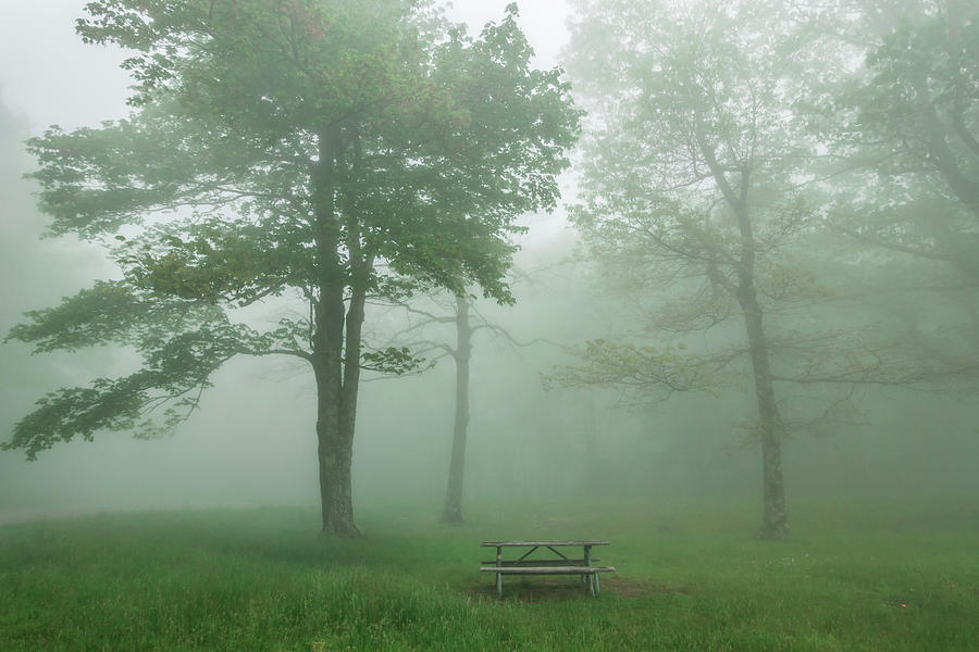 Foggy Morning In Blue Ridge Mountains Picnic Area #3 Photograph by Alex Grichenko