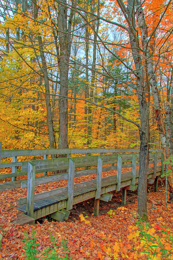 Foot Path Bridge and Fall Leaf Colors near Grayling, Michigan ...