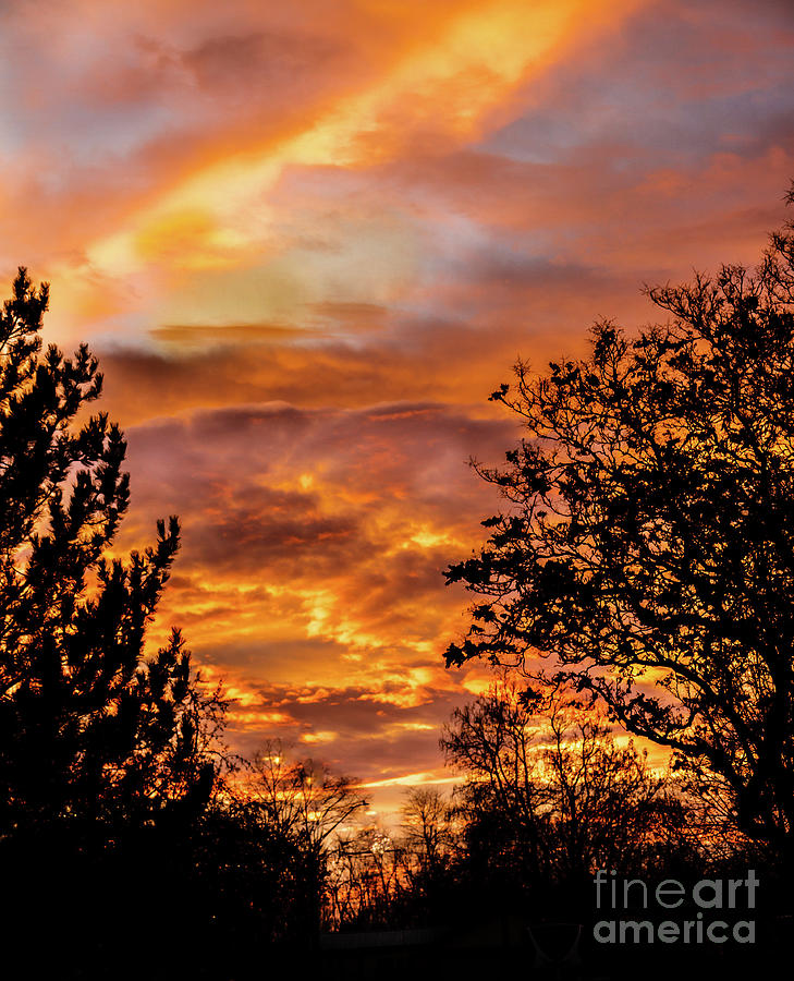 Fall Photograph - Framed Sunset #3 by Robert Bales