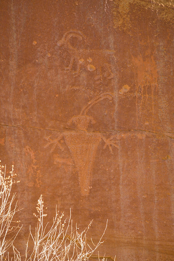 Fremont Petroglyphs etched into sandstone cliffs #3 Photograph by David L Moore