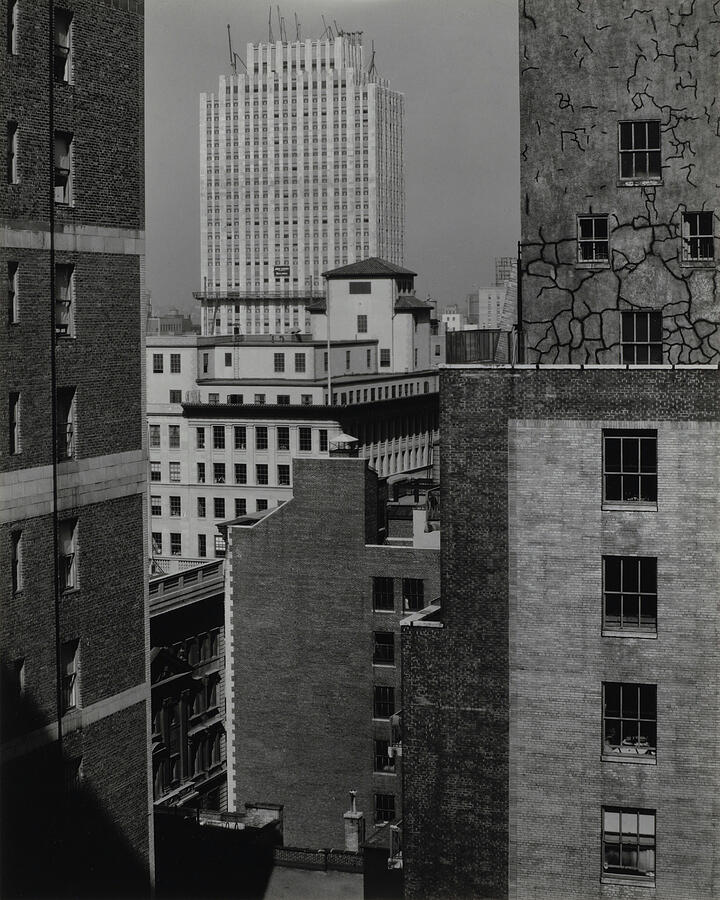From My Window at An American Place Photograph by Alfred Stieglitz