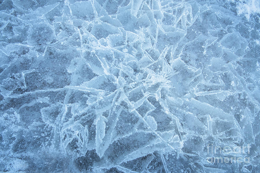 Frozen #3 Photograph by Ronda Kimbrow