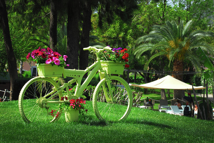 Garden Decoration With Bicycle Bike Painted With Flowers #3 Photograph by Severija Kirilovaite