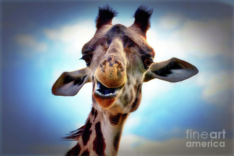 Giraffe #3 Digital Art by Savannah Gibbs