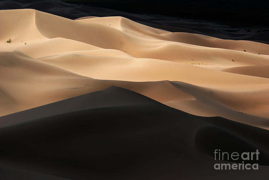 Gobi desert #3 Photograph by Elbegzaya Lkhagvasuren