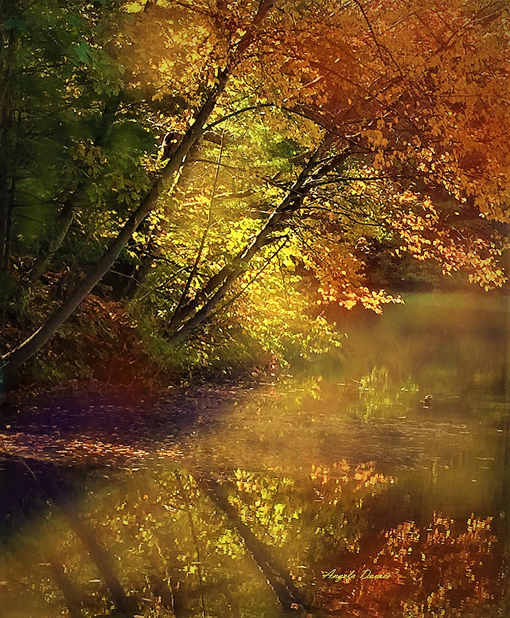 Fall Photograph - Golden Moments  #4 by Angela Davies
