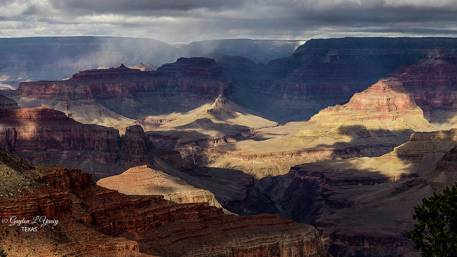 Grand Canyon #3 Photograph by G Lamar Yancy