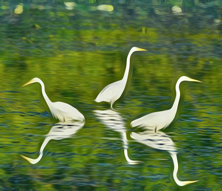 Great Egret Photograph - 3 Great Egrets by Katy L