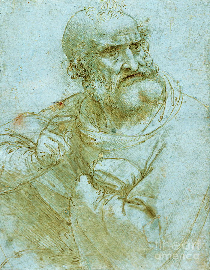 Half-Length Figure of an Apostle #3 Painting by Leonardo da Vinci