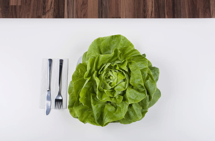 Head of lettuce on a plate, cutlery beside it #3 Photograph by Zeitgeist_images