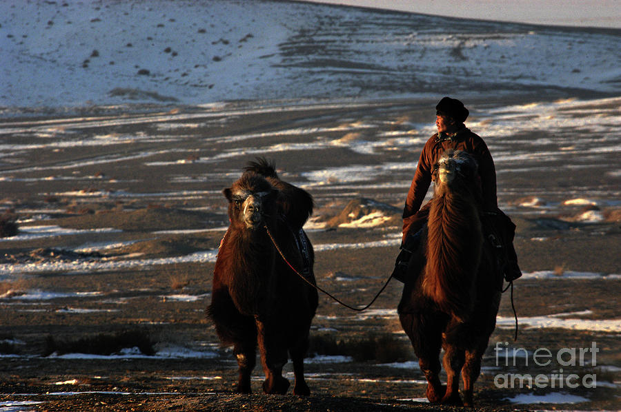Herders lifestyle #3 Photograph by Elbegzaya Lkhagvasuren