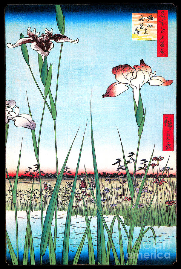 Horikiri Iris Garden Painting