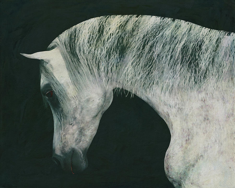 Horses -White horse doing dressage exercise #3 Painting by Jan Keteleer