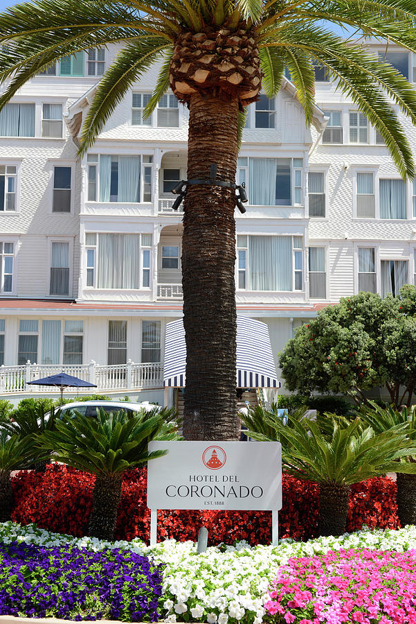 Hotel Del Coronado Ca Photograph