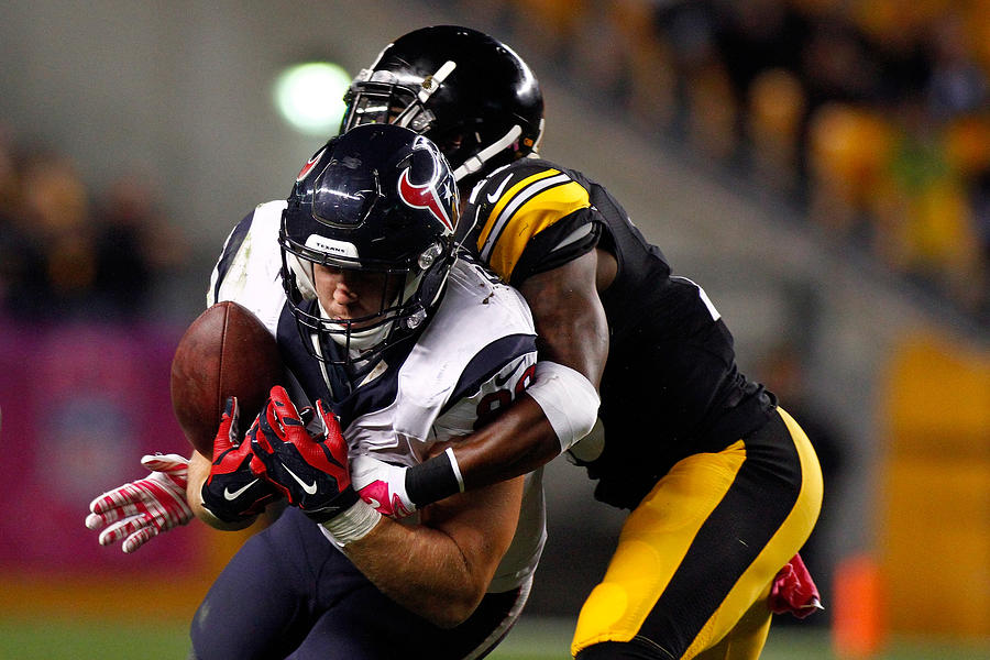 Houston Texans v Pittsburgh Steelers #3 Photograph by Justin K. Aller