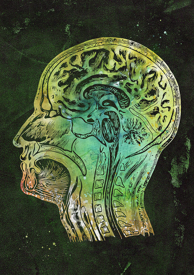 Human head Digital Art by Erzebet S Fine Art America