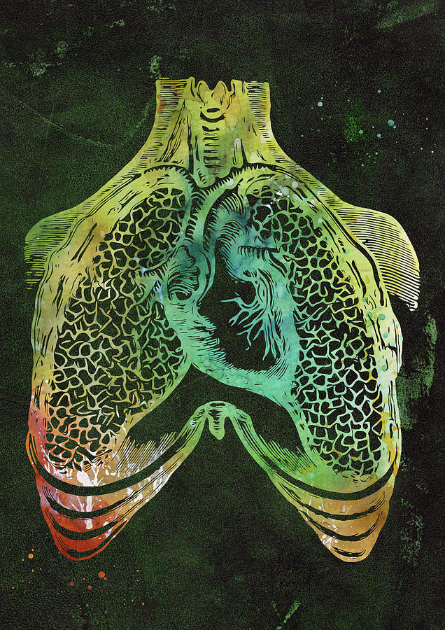 Human heart and lungs Digital Art by Erzebet S - Fine Art America