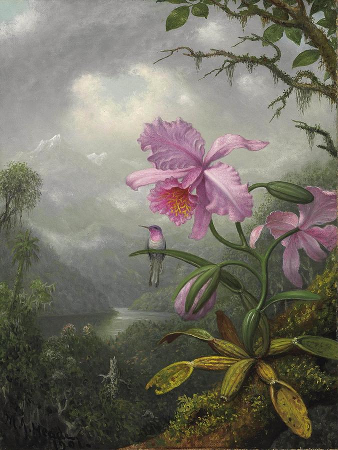Hummingbird Perched on the Orchid Plant #3 Painting by Martin Johnson Heade