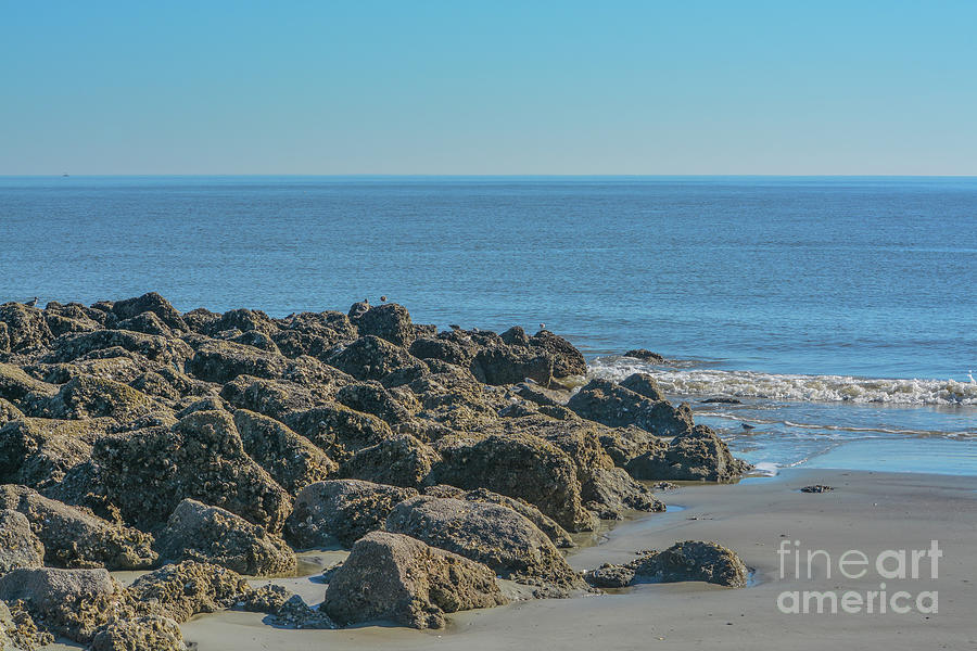 Hunting Island State Parks Sandy Beach On The Atlantic Ocean, Hunting Island, Beaufort County, Sout Photograph