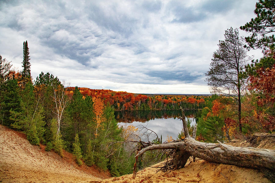 Huron Manistee National Forest fall colors in Michigan Photograph by ...