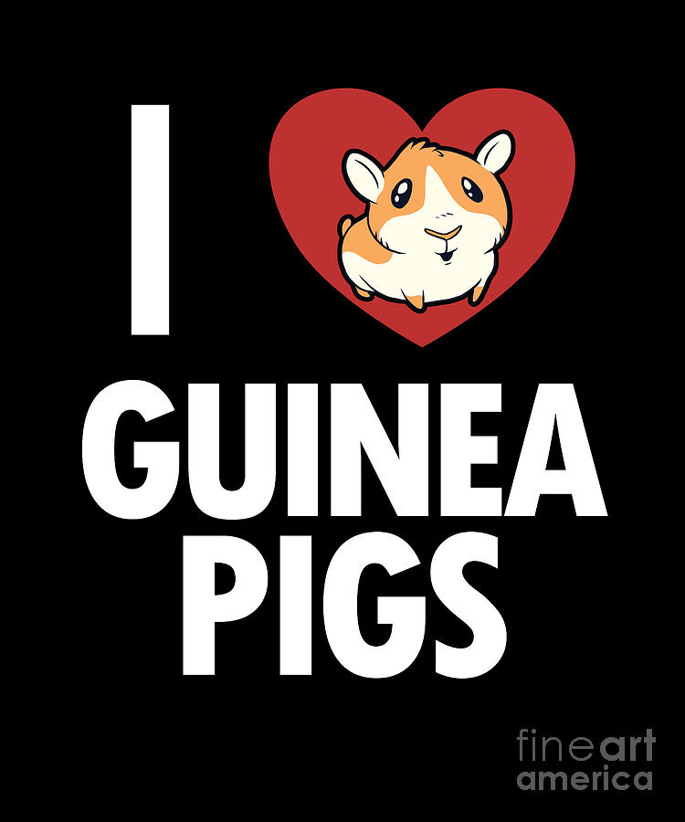 I love Guinea Pigs American Crested Long Hair Guinea Pigs Digital Art ...