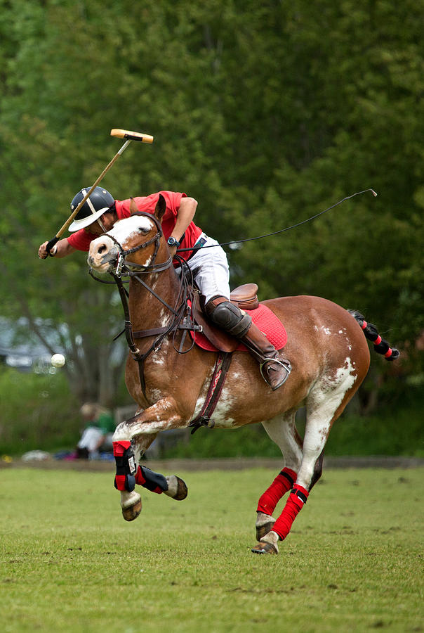 Individual polo player on a horse #3 Photograph by Lorado