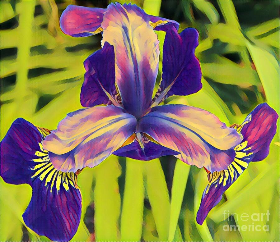 Iris #4 Painting by Marilyn Smith