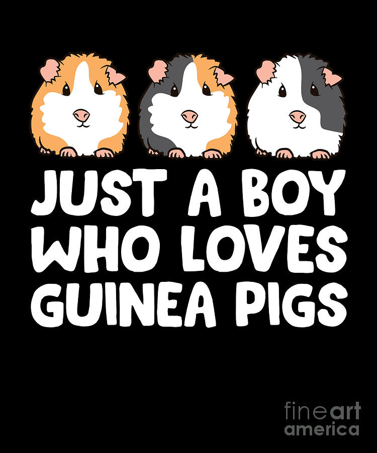 Just A Boy Who Loves Guinea Pigs Digital Art By Eq Designs - Fine Art 