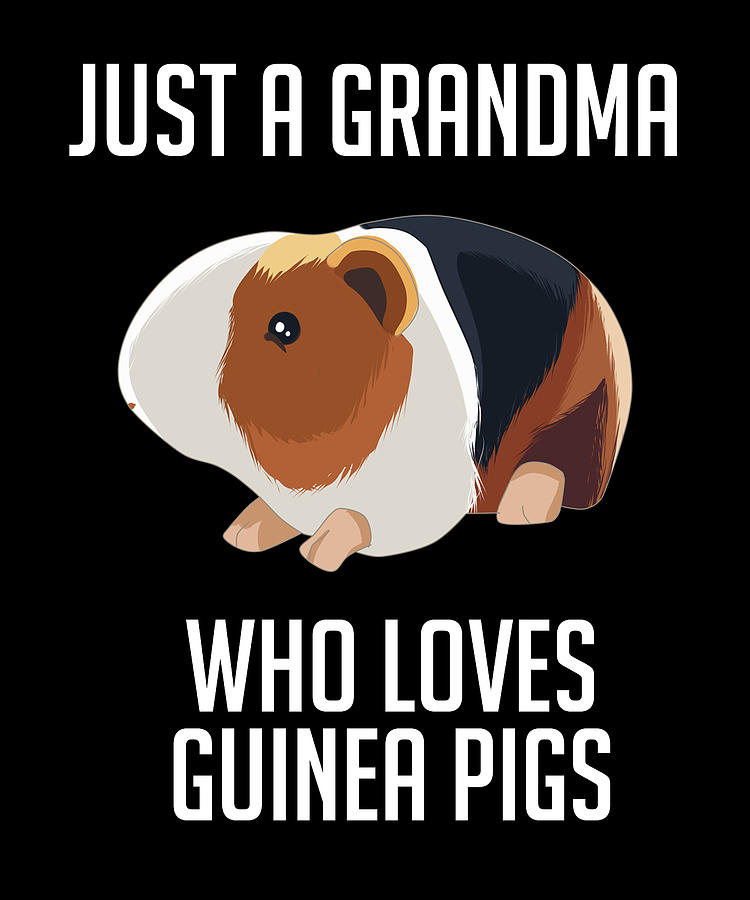 Just A Dad Who Loves Guinea Pigs Digital Art by Cynto - Fine Art America