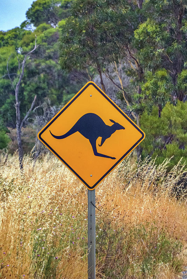 Kangaroo Island Australia #3 Photograph by Paul James Bannerman