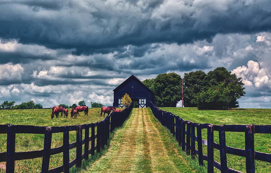 Horse Photograph - Kentucky Horse Country #3 by Mountain Dreams