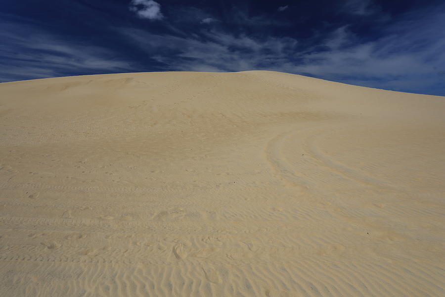 Landscape at Jockey's Ridge State Park, Kitty Hawk, North Carolina #3 ...