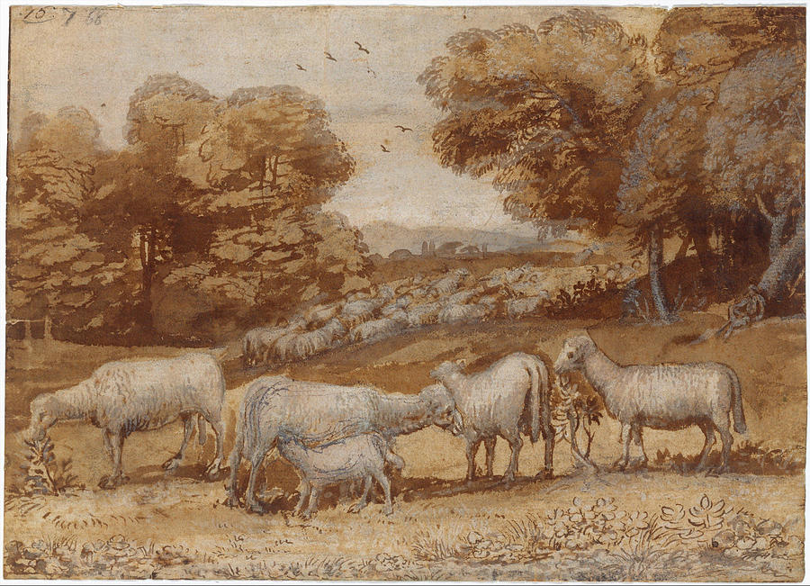 Landscape with Sheep  #4 Drawing by Claude Lorrain