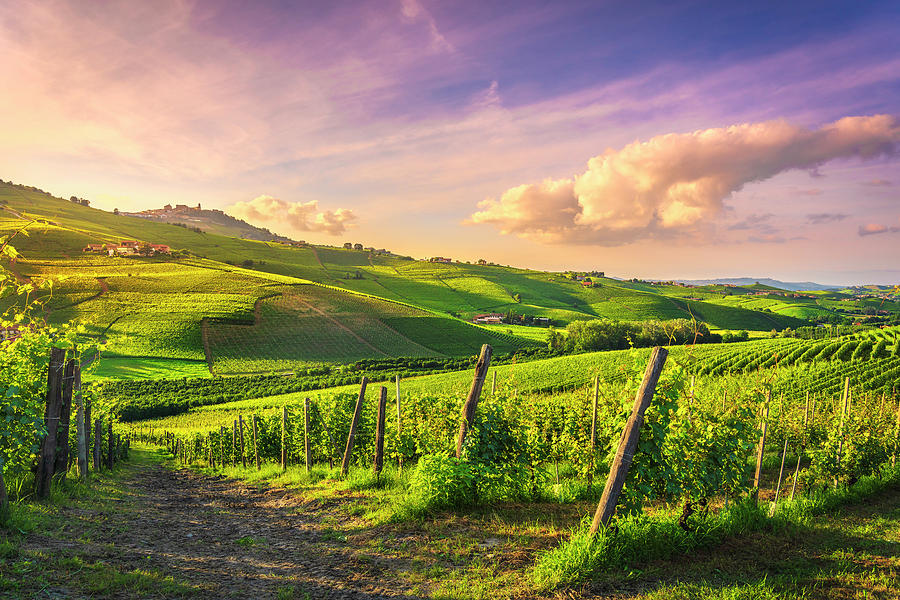 Langhe vineyards view, Barolo and La Morra, Piedmont, Italy Euro Photograph by Stefano Orazzini
