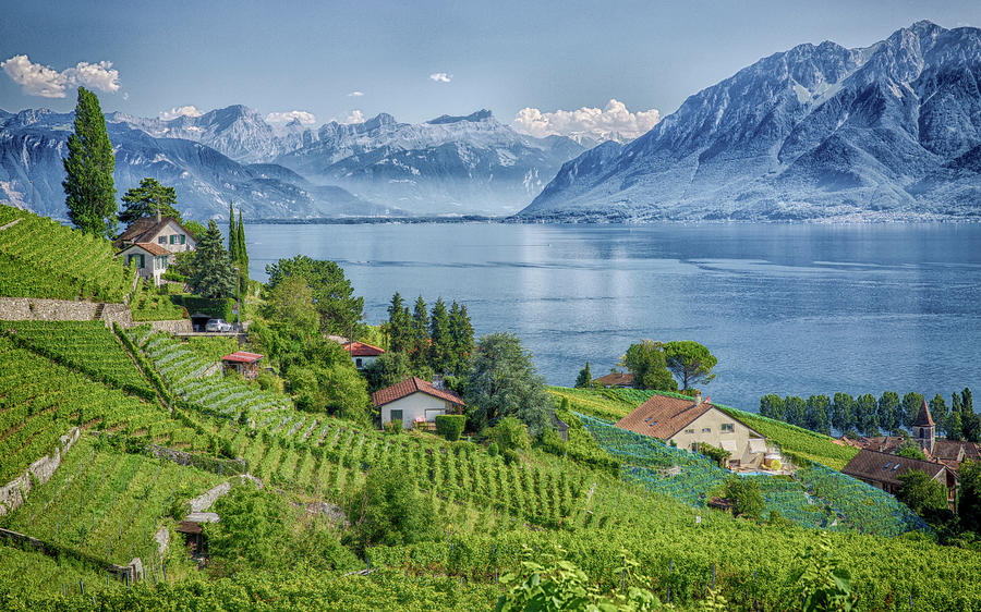 Lavaux Wine Region Switzerland Photograph by Chris Mangum - Pixels