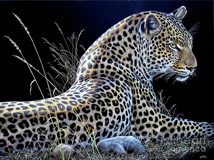 Leopard Scratch Board #3 Painting by Cynthie Fisher