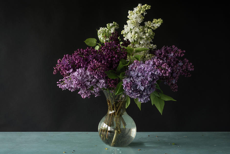 https://images.fineartamerica.com/images/artworkimages/mediumlarge/3/3-lilac-still-life-bill-pusztai.jpg