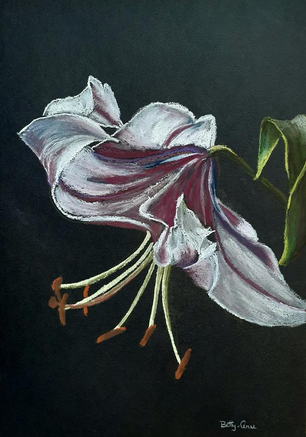 Lily #3 Pastel by Betty-Anne McDonald