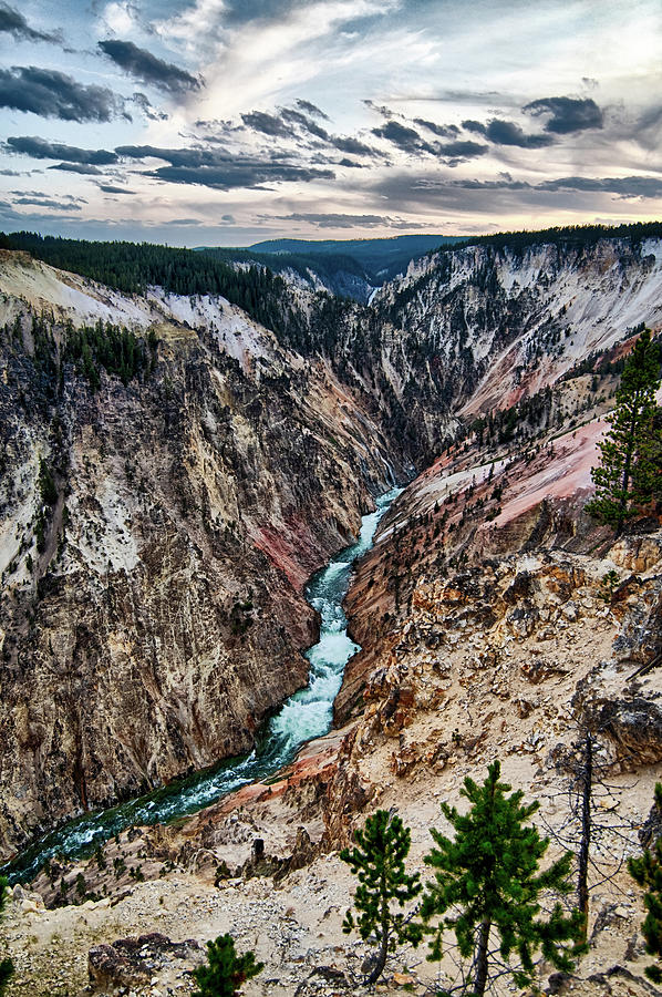 Lower falls of the yellowstone national park from artist point a #3 Photograph by Alex Grichenko