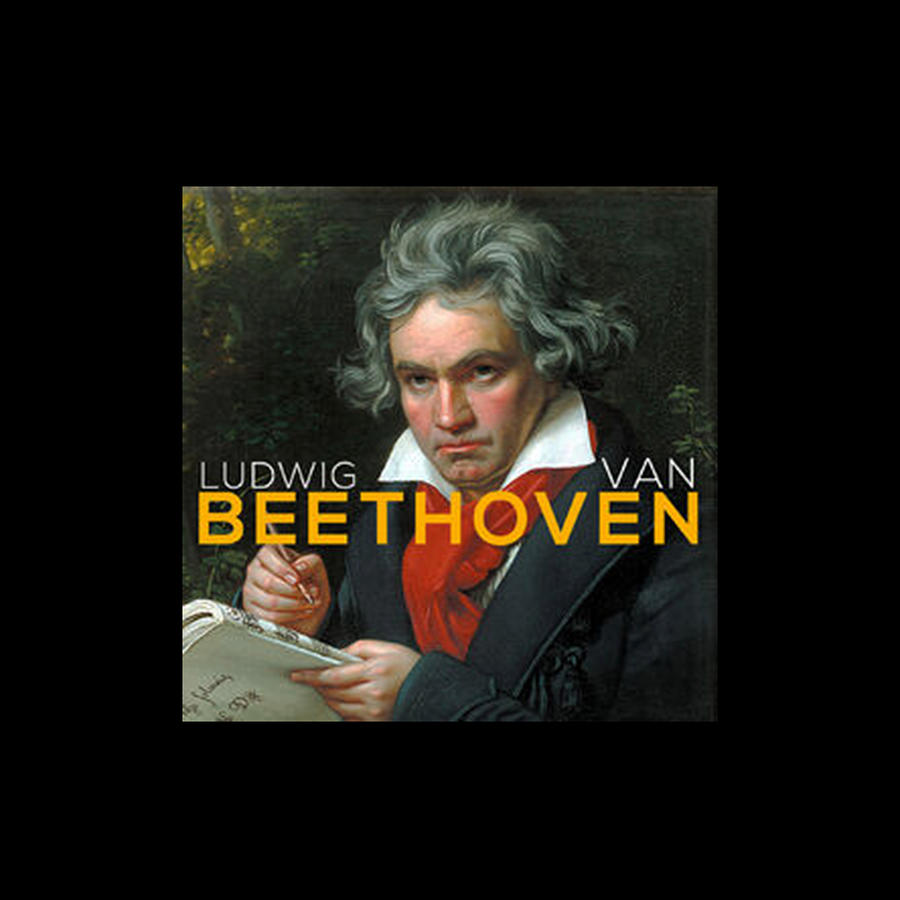 Ludwig Van Beethoven Komponis Designs Digital Art By Greens Shop - Pixels